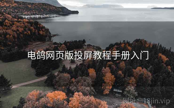 电鸽网页版投屏教程手册入门