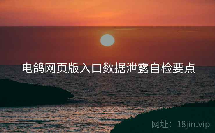 电鸽网页版入口数据泄露自检要点