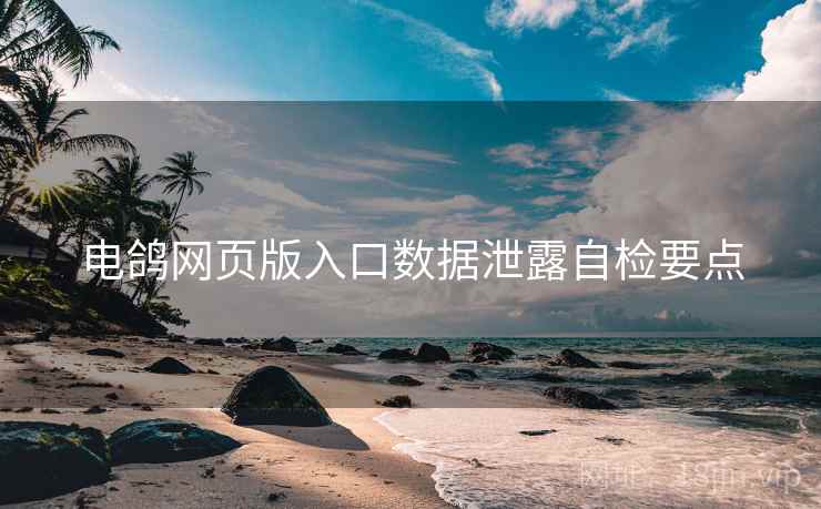 电鸽网页版入口数据泄露自检要点