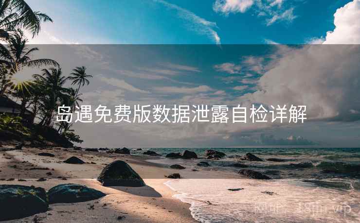 岛遇免费版数据泄露自检详解