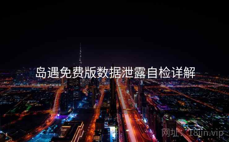岛遇免费版数据泄露自检详解