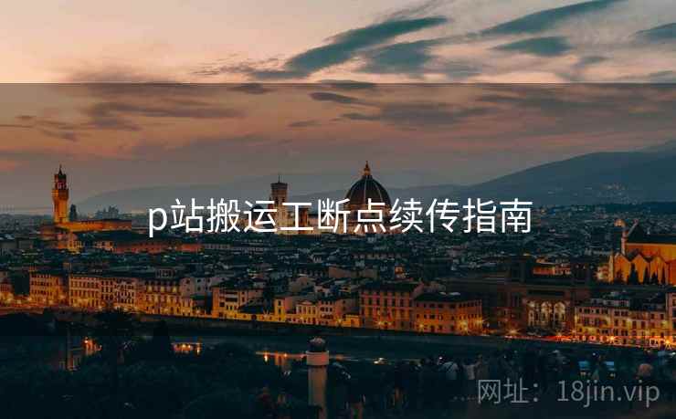 p站搬运工断点续传指南