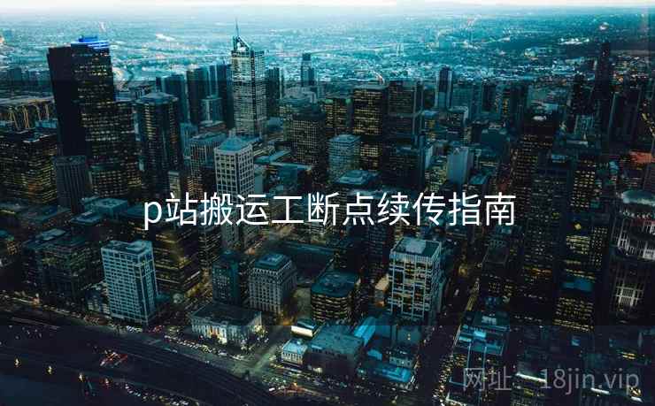 p站搬运工断点续传指南