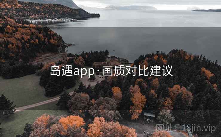 岛遇app·画质对比建议