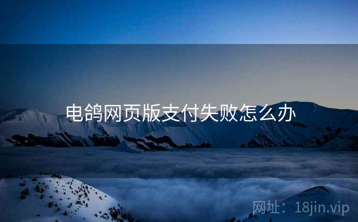 电鸽网页版支付失败怎么办