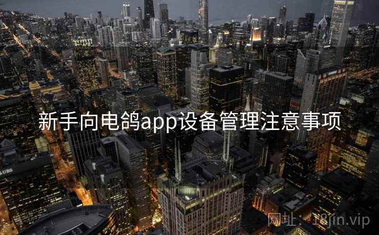 新手向电鸽app设备管理注意事项