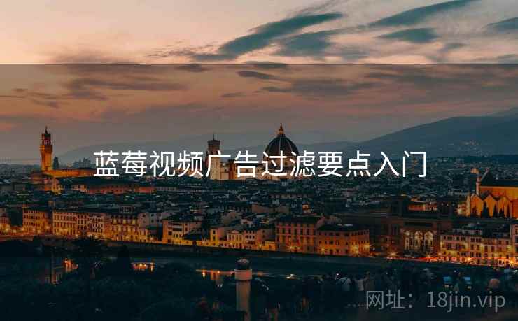蓝莓视频广告过滤要点入门