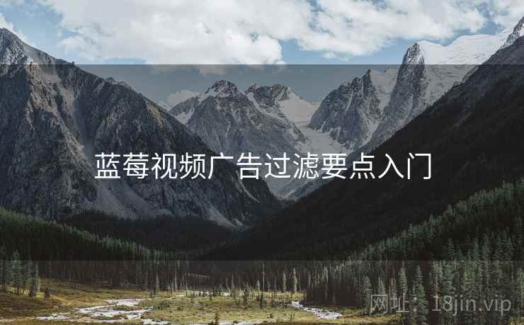 蓝莓视频广告过滤要点入门