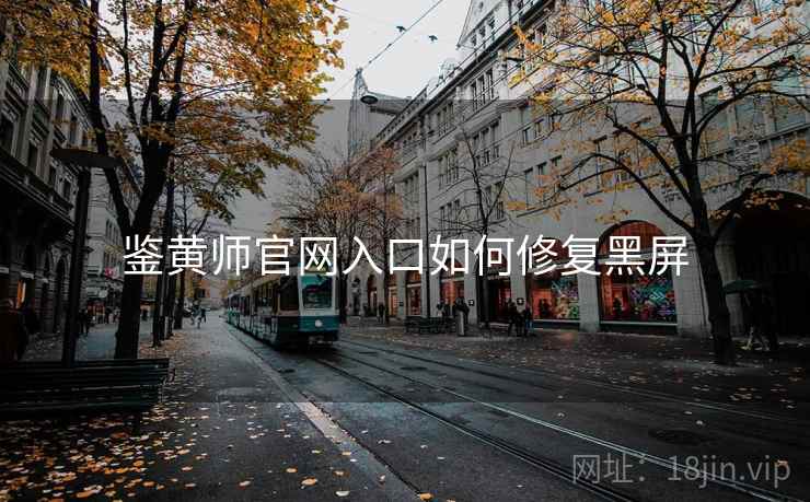 鉴黄师官网入口如何修复黑屏