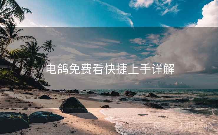 电鸽免费看快捷上手详解