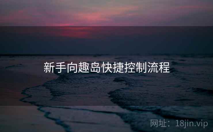 新手向趣岛快捷控制流程