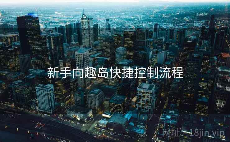 新手向趣岛快捷控制流程