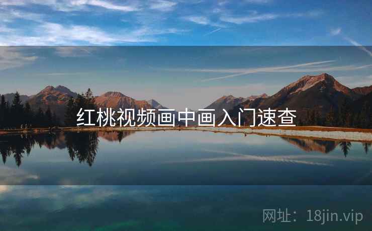 红桃视频画中画入门速查