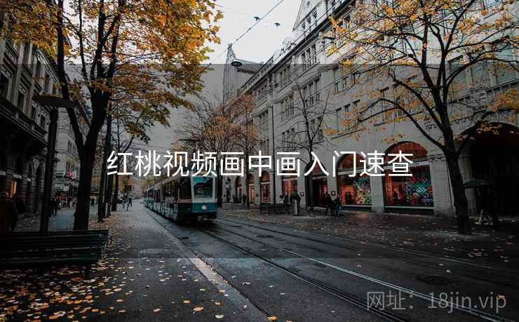 红桃视频画中画入门速查