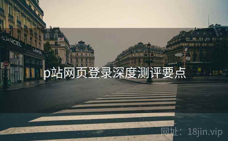 p站网页登录深度测评要点