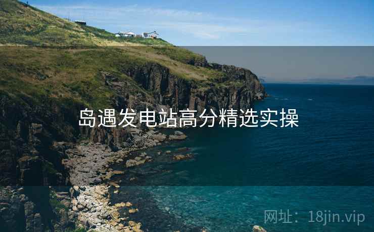 岛遇发电站高分精选实操