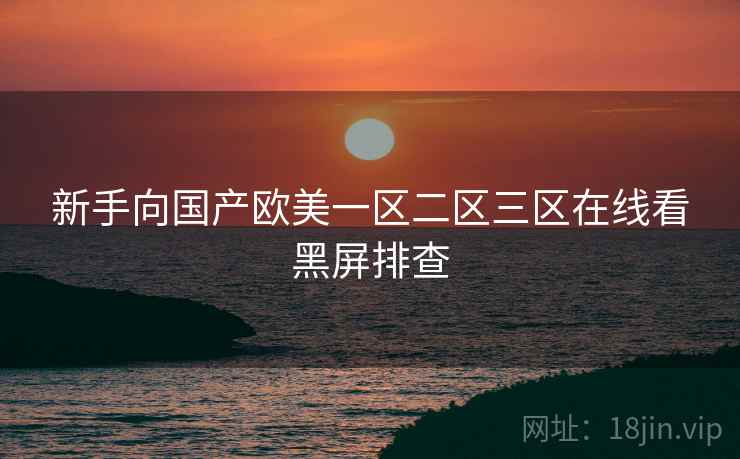 新手向国产欧美一区二区三区在线看黑屏排查