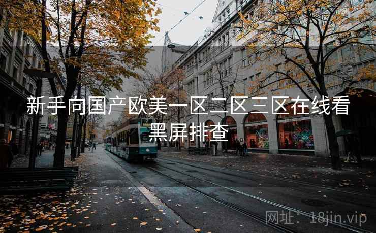 新手向国产欧美一区二区三区在线看黑屏排查