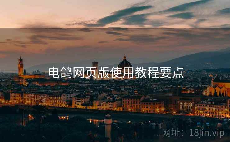 电鸽网页版使用教程要点