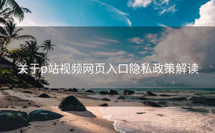 关于p站视频网页入口隐私政策解读