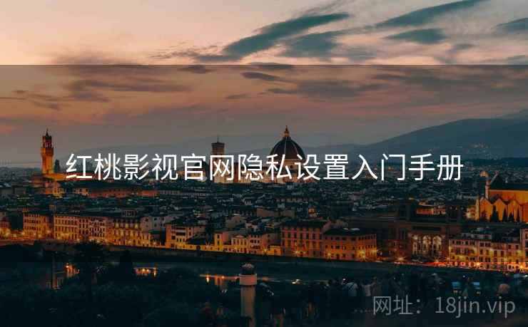 红桃影视官网隐私设置入门手册