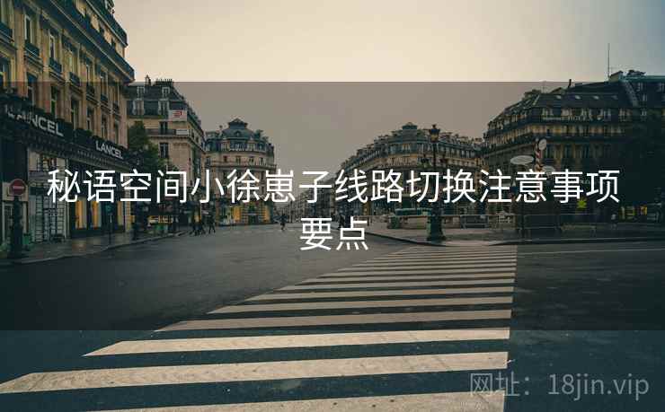 秘语空间小徐崽子线路切换注意事项要点