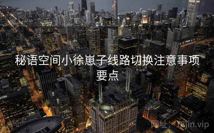 秘语空间小徐崽子线路切换注意事项要点