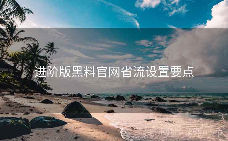 进阶版黑料官网省流设置要点
