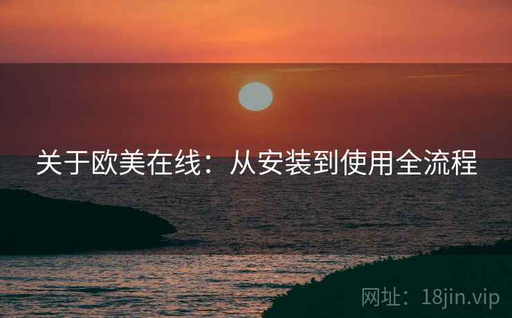 关于欧美在线：从安装到使用全流程