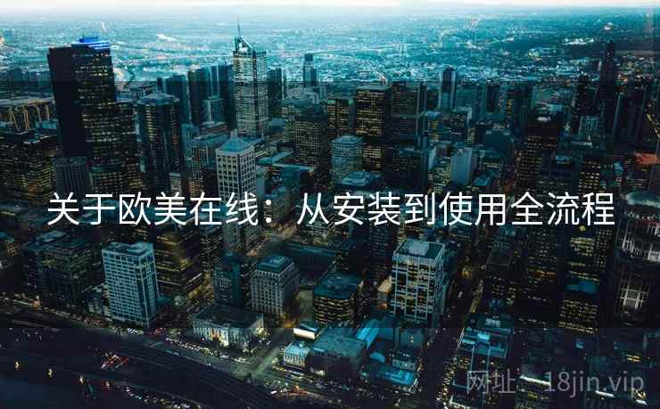 关于欧美在线：从安装到使用全流程
