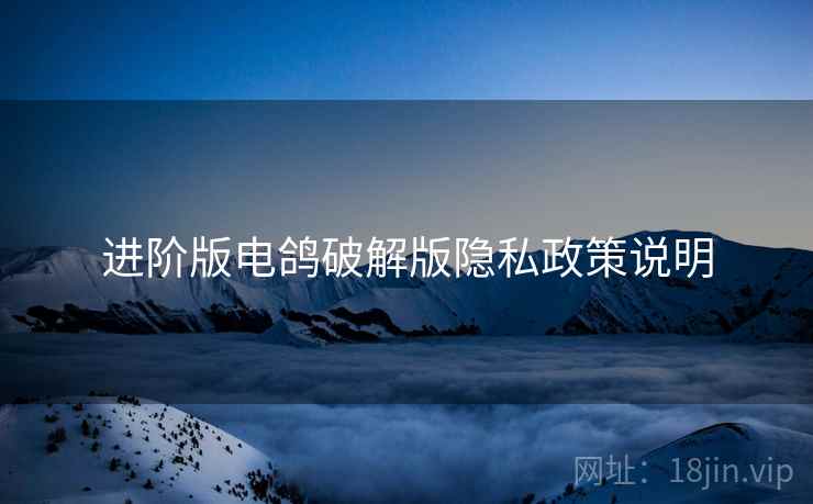 进阶版电鸽破解版隐私政策说明