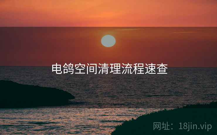 电鸽空间清理流程速查
