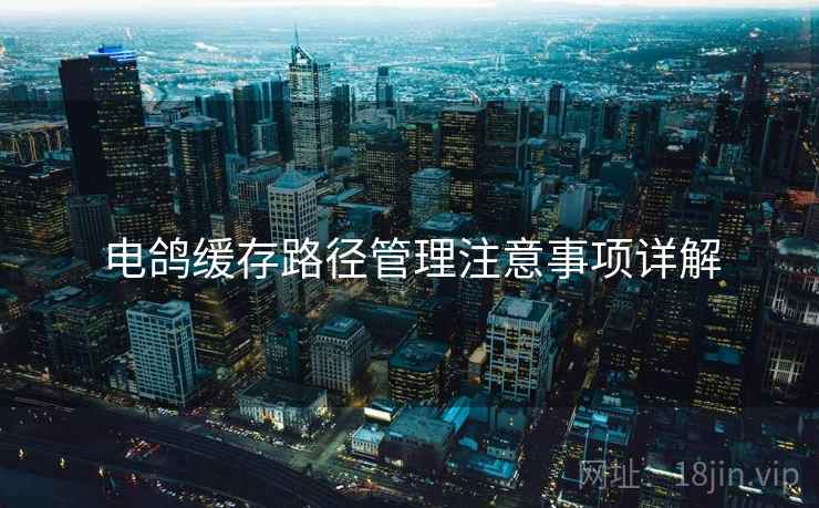 电鸽缓存路径管理注意事项详解