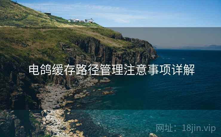 电鸽缓存路径管理注意事项详解