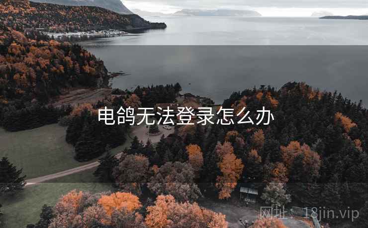 电鸽无法登录怎么办