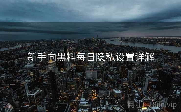 新手向黑料每日隐私设置详解