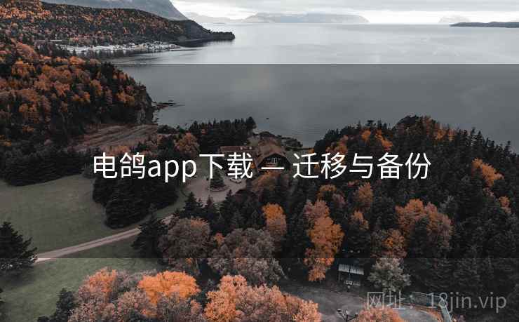电鸽app下载 — 迁移与备份
