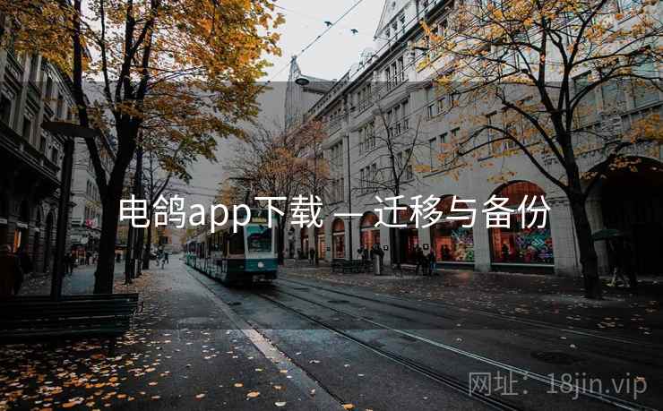 电鸽app下载 — 迁移与备份