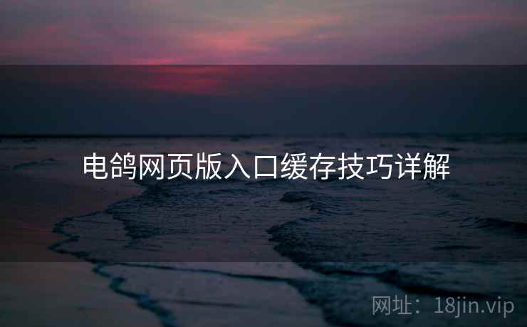 电鸽网页版入口缓存技巧详解